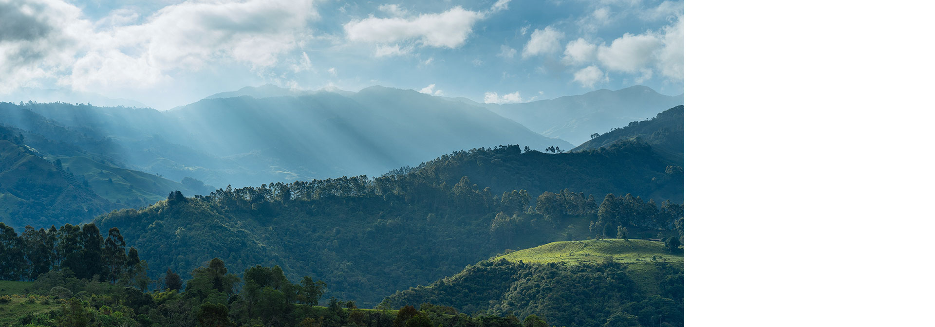 环境保护-伟德bv国际体育