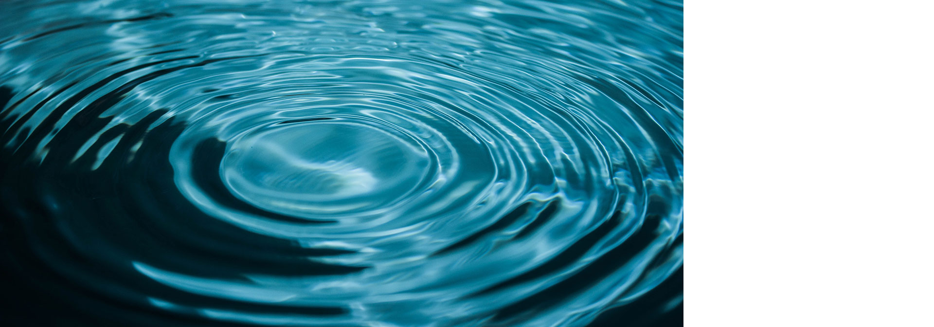 水性涂料-伟德bv国际体育