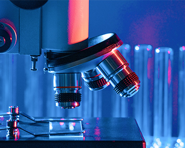 研发创新-伟德bv国际体育